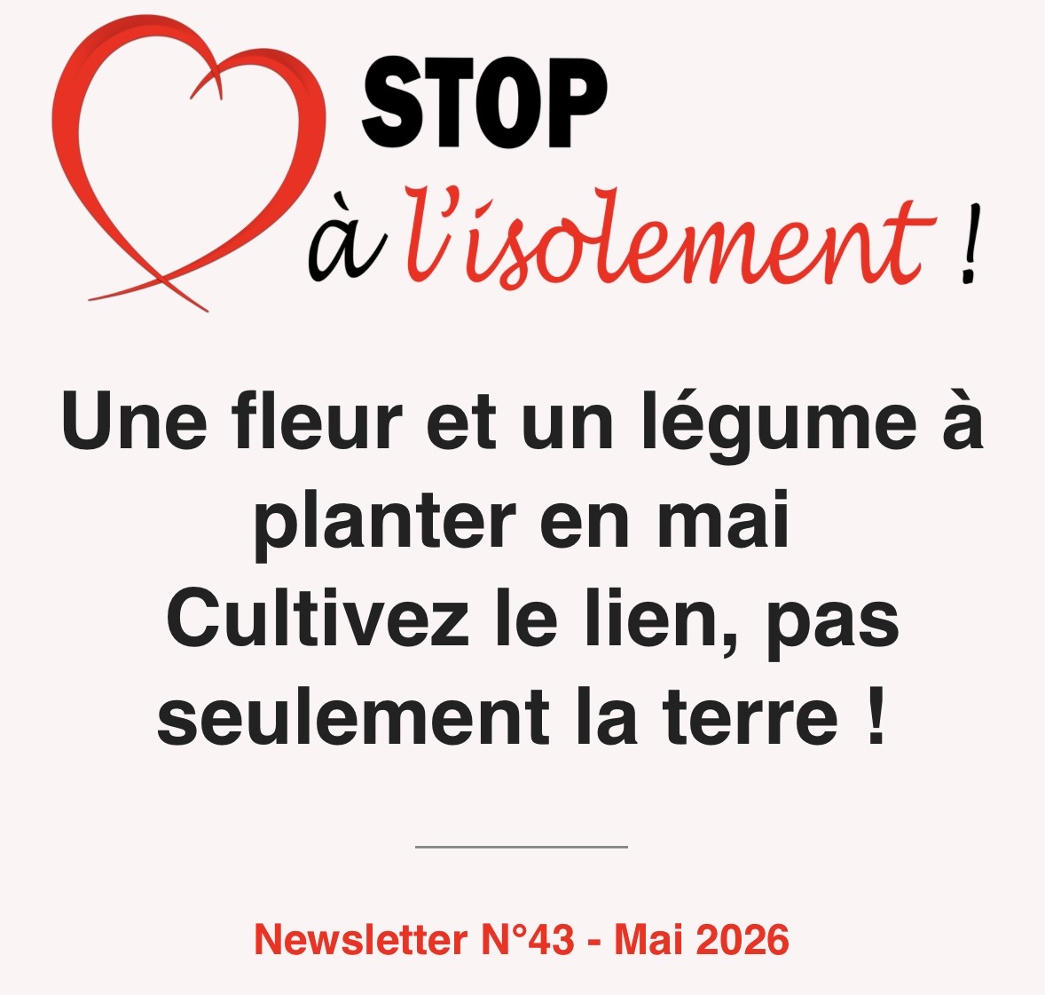 image : La prochaine Newsletter arrive !