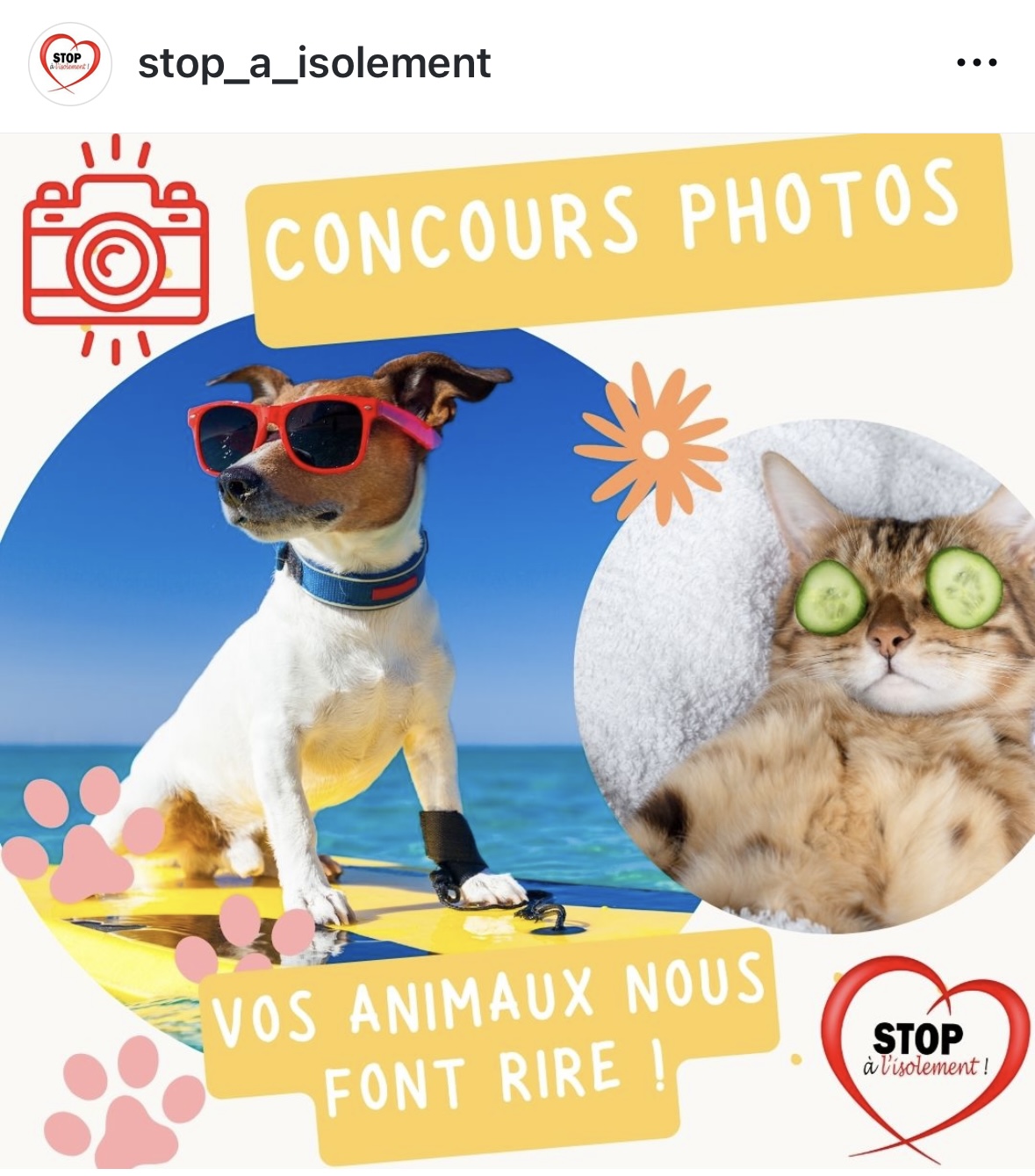 image : KONKOUR de FOTO No Zanimo nou fon RIRRRREEE !!!!