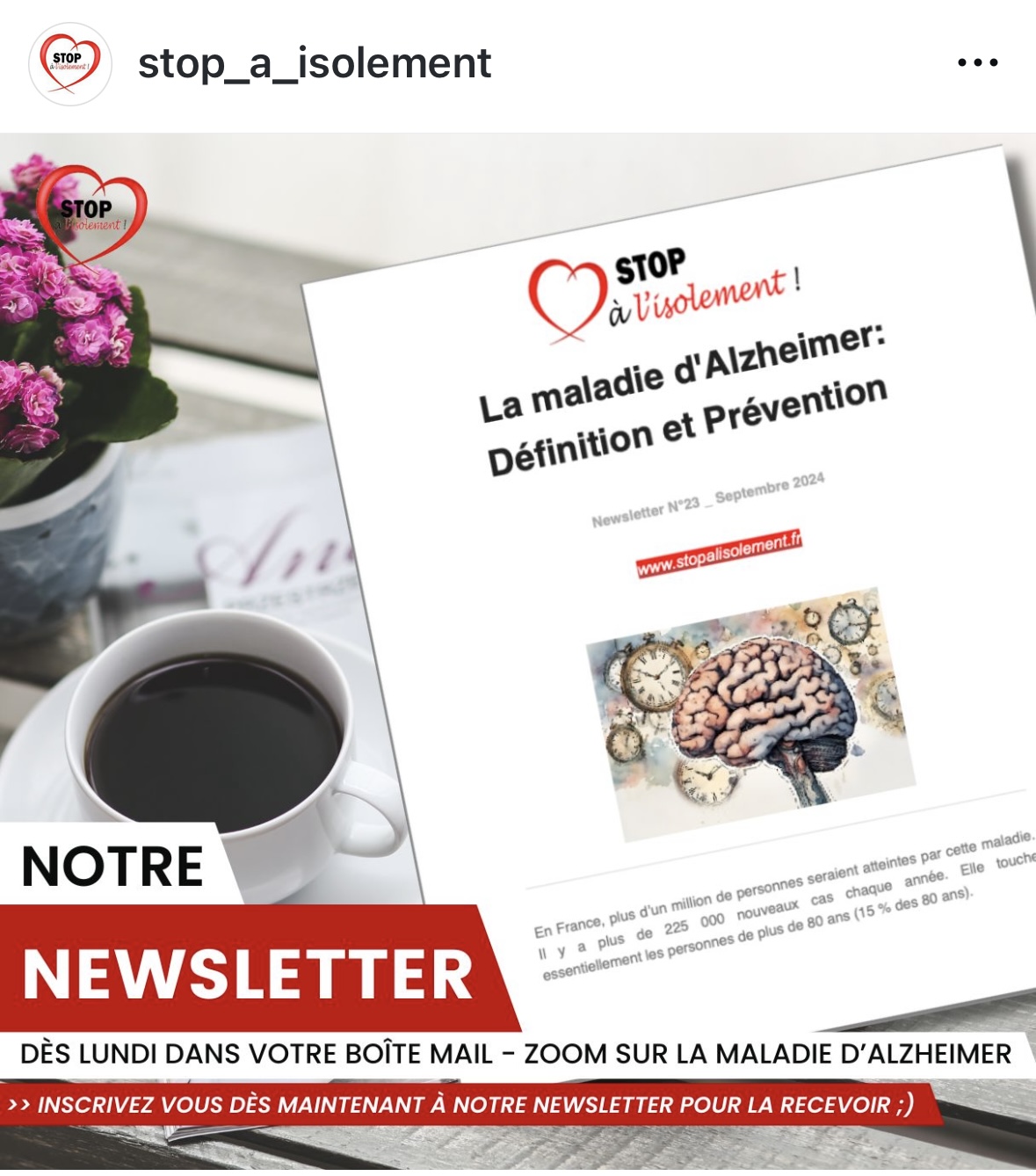 image : Prochaine Newsletter : Tout savoir sur Alzheimer