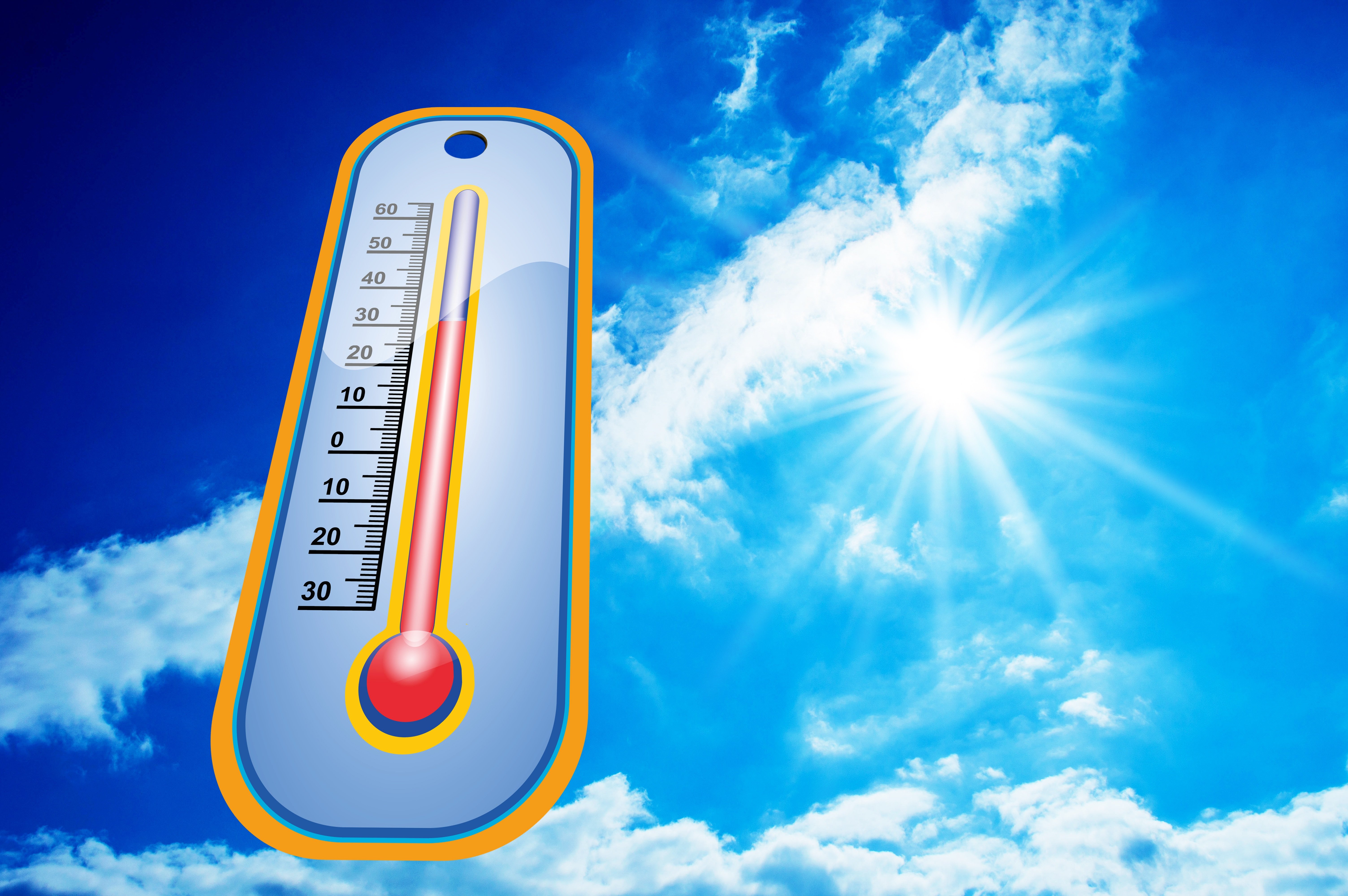 image : Prochaine NEWSLETTER !! quoi faire, qui contacter en cas de canicule ?