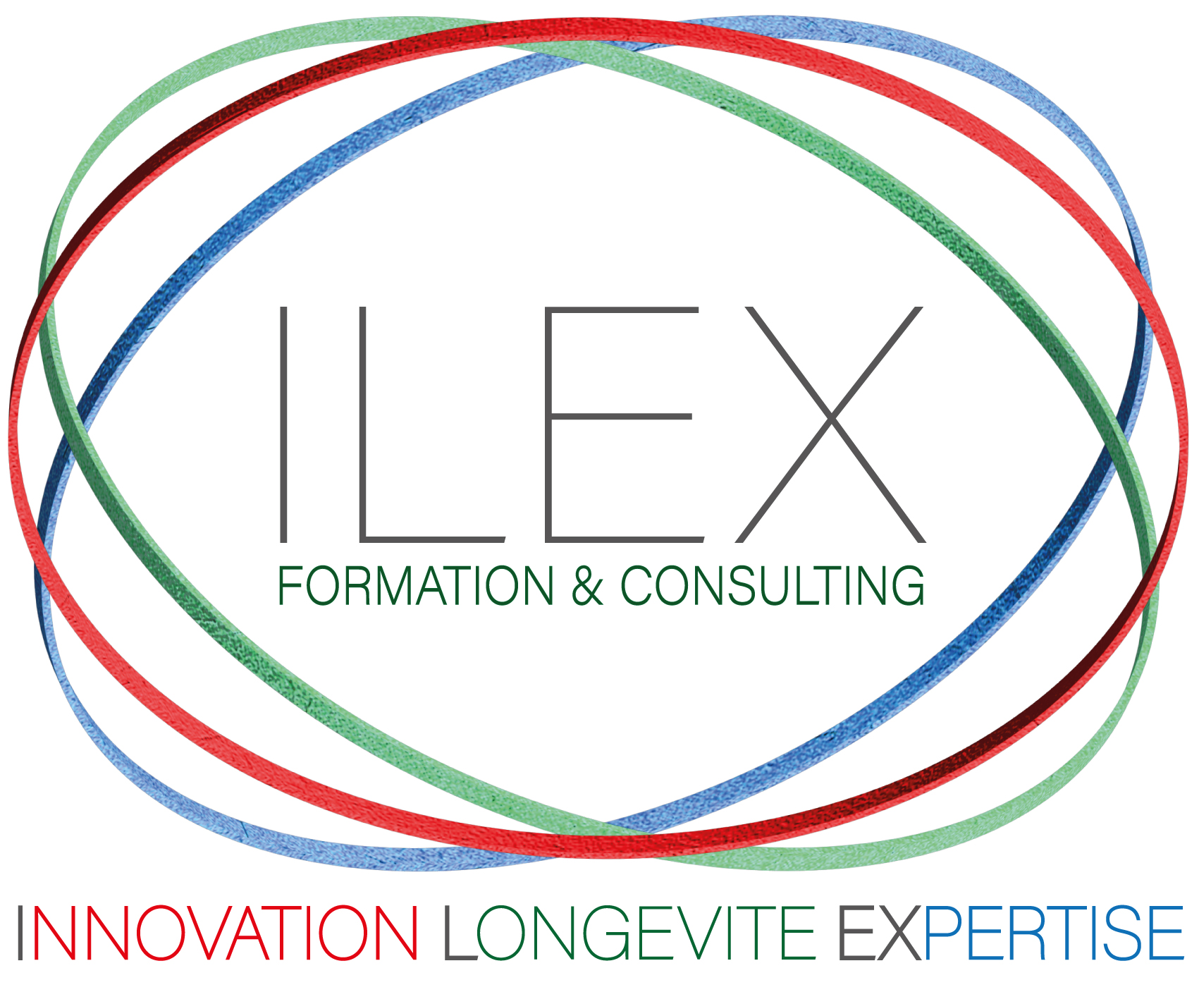   ILEX Formation & Consulting  