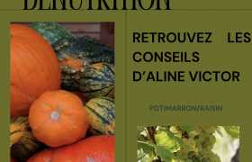 image : La nouvelle Newsletter est en cours: Abonnez-vous!