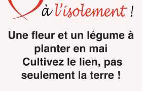 image article : La prochaine Newsletter arrive !