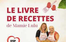 image article : Le livre des 24 recettes de Mamie Lulu