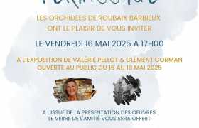 image : Roubaix : La 28 ème nuit des ARTS - RDV à l'Ehpad !