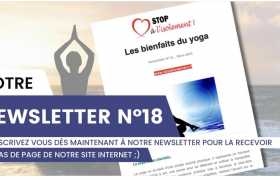 image : Newsletter 18 : les bienfaits du yoga