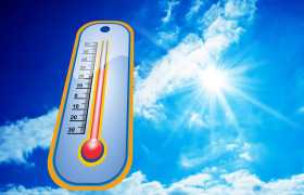 image article : Prochaine NEWSLETTER !! quoi faire, qui contacter en cas de canicule ?