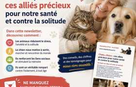 image article : prochaine Newsletter : chiens, chats, bons pour la SANTE ??